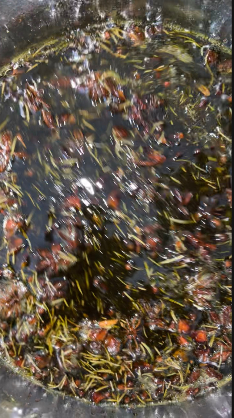 Huile Ayurvédique pousse Asilì