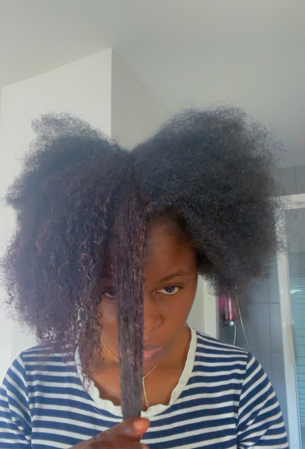 Masque Poudres Ayurvédiques Asilì | Soin Profond Cheveux Crépus