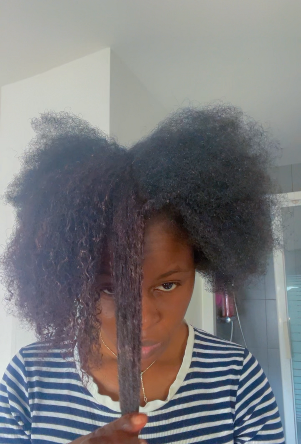 Masque Poudres Ayurvédiques Asilì | Soin Profond Cheveux Crépus